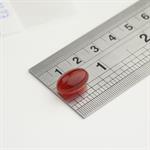 Antarctic Krill Oil 500mg capsule view