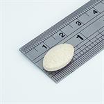 Milk Thistle 100mg tablet view