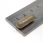 5-HTP 100mg capsule view